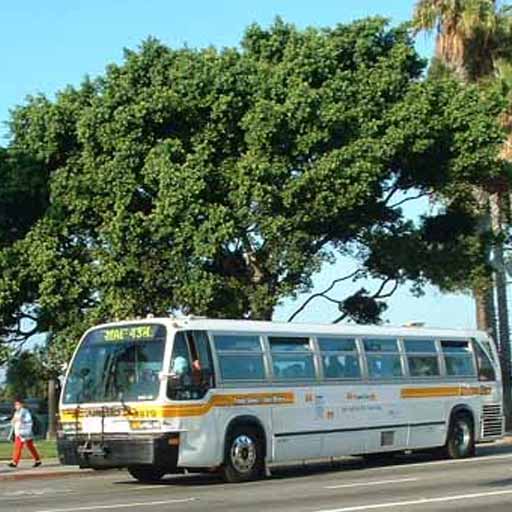 LA Metro Bus